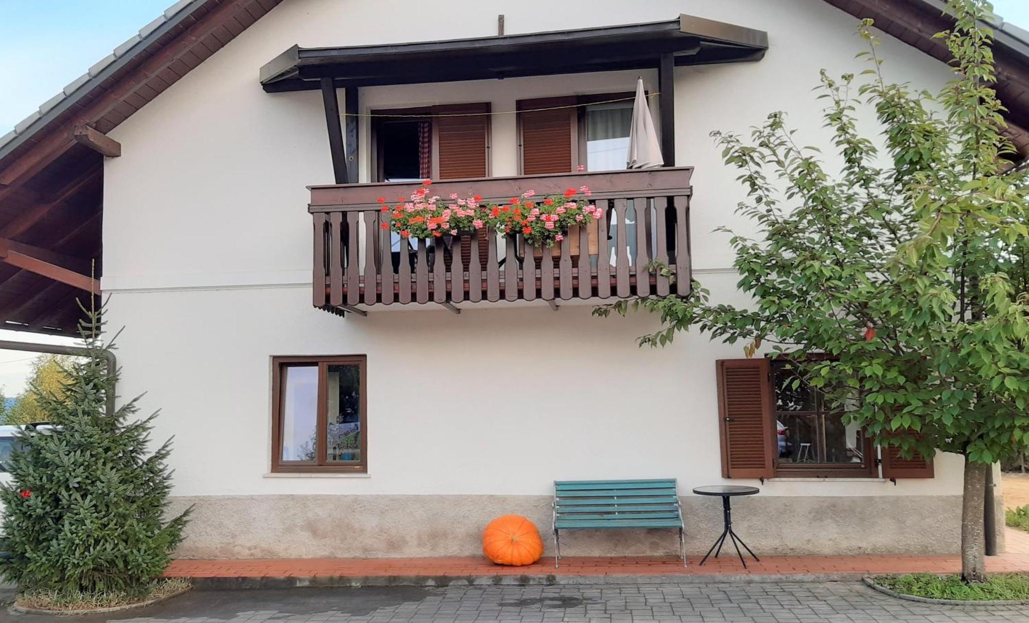 Apartma Biofit Bled Rum bild